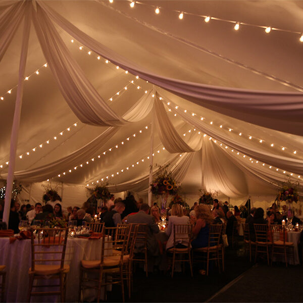 sj-party-rentals-home-gallery-19